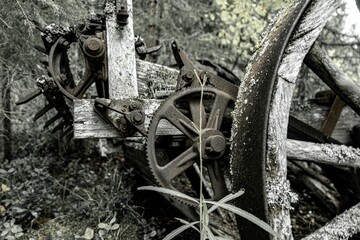 Fototapeta na wymiar Old abandoned rural machine with wheels in the forest