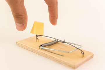 A piece of cheese is placed in the mousetrap. Financial trap concept.