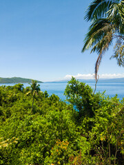 Fototapeta na wymiar Sea view through green plants in Bangkay Island. Surigao del Norte, Philippines.