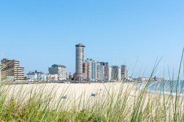 From the dunes you have a beautiful view of the beach and the boulevard with modern buildings of...