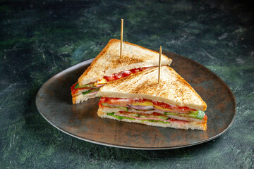 Sandwich with meat ( beef ), cheese, tomatoes, lettuce, and toasted bread. on the plat, Above view, Sandwich cut in half. Two pieces of delicious vegetarian sandwich with lettuce, tomatoes and sauce.