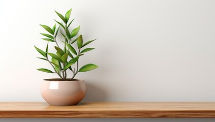 Minimalist Indoor Green Plant on Wooden Shelf