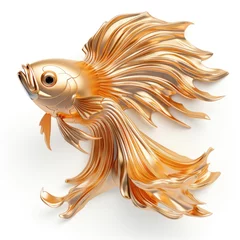 Foto op Canvas A gold fighting fish is shown on a white surface. © tilialucida