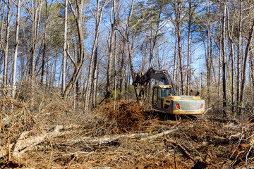 With help of an excavator worker uproots trees in forest, preparing ground for building house