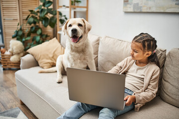 cute elementary age girl sitting on sofa and using laptop near labrador dog in modern apartment