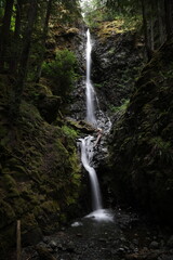 Obraz premium Lupin Falls Vancouver Island Canada