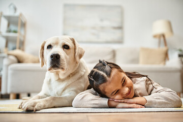cute elementary age girl in casual wear lying on carpet with labrador in modern living room