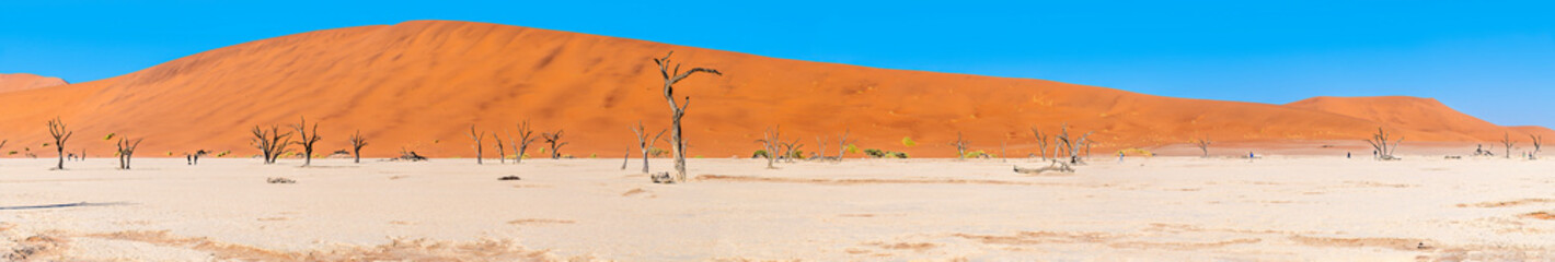 A panorama view across the basin of the dead valley in Sossusvlei, Namibia in the dry season