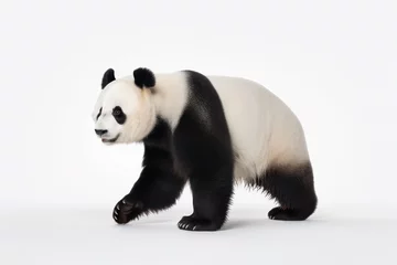 Keuken spatwand met foto giant panda bear © Thibaut Design Prod.