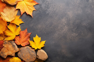Autumn foliage border copy space background, seasonal 