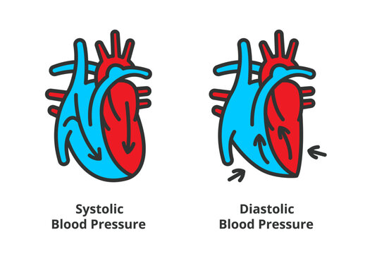 Systolic Blood Pressure and Diastolic Blood Pressure icons in line design, red and blue. Pressure, Systolic, Skills, Diastolic, Heart vector illustrations. Medical illustrations editable stroke icons.