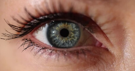 Closeup of woman emerald blue eye