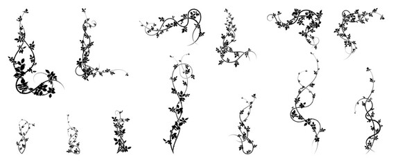 large selection of climbing hawthorn plants vector - obrazy, fototapety, plakaty