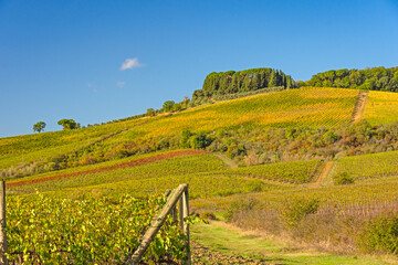 Fototapeta premium W L' Autunno