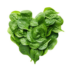 Fototapeta premium Fresh lettuce hearts are a culinary concept of love and health