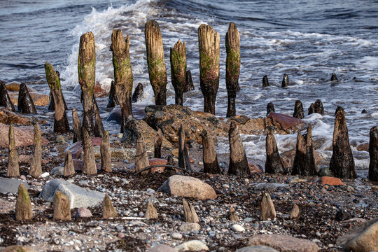 Ruins of a Wooden Construction at Gedser Odde