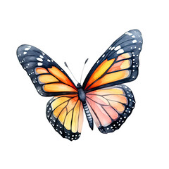 Obraz premium Watercolor Butterfly Clipart Illustration. Isolated elements on a white background.