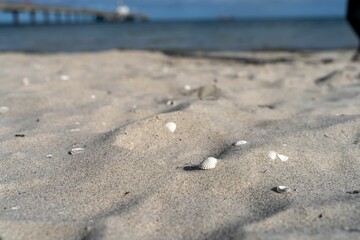 Fototapeta na wymiar Sandy beach with shells at Binz resort against the Baltic Sea in the Island of Rugen, Germany