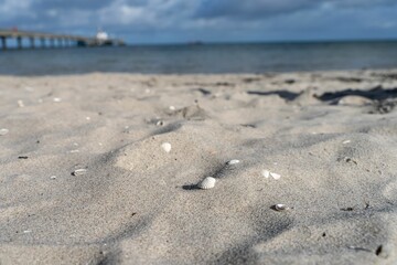 Sandy beach with shells at Binz resort against the Baltic Sea in Germany