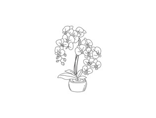 orchid flower icon, Houseplants  vector illustration