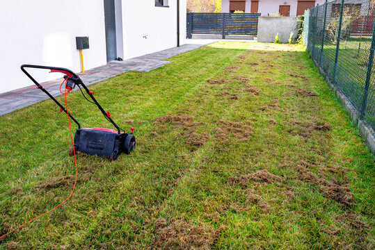 Scarifying the lawn before the winter season using an electric scarifier.