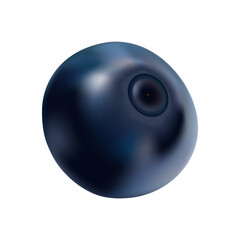 Single Blueberry Vector Illustration