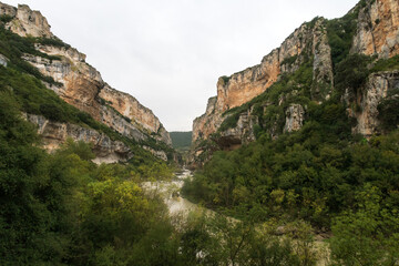 Fototapeta na wymiar Vista de la Hoz de Lumbier con el río Salazar entre rocas calcareas, Lumbier, Navarra, España.
