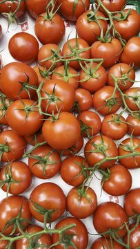 Beautiful Red Tomatoes at the Farmers Street Market with Guaranteed Swiss Quality Seal