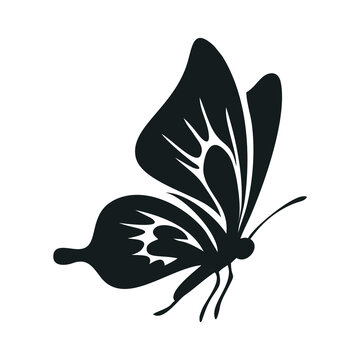 Silhouette of butterfly hand drawn. Outline drawing of butterfly icon isolated on white background. Vector illustration