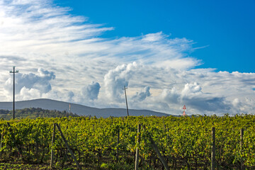 Scie di nuvole !