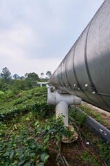 Extensive Gas Pipelines Encircling Tea Plantations