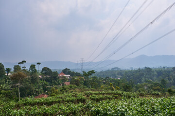 Fototapeta na wymiar High Voltage Power Lines Stretching Across Tea Plantations in the Countryside