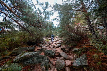 Rocky road in the middle of the mountain.