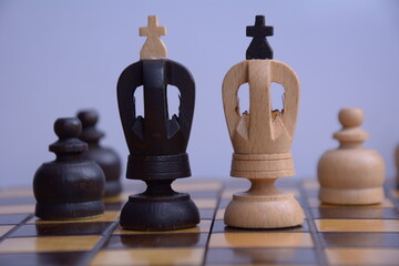 Chess Board Game. White and Black Kings Side by Side.