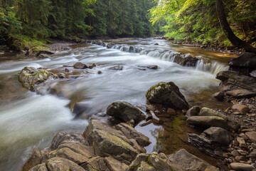 Fototapeta premium Magical raging river Candles and rapids in the mountains, in the middle of a coniferous forest, long exposure. A fabulous waterfall and a raging river with crystal clear water in the Carpathians.