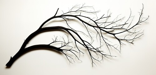 Elegant Black Tree Branch with Delicate Twigs Isolated on a White Background, Perfect for Design Projects