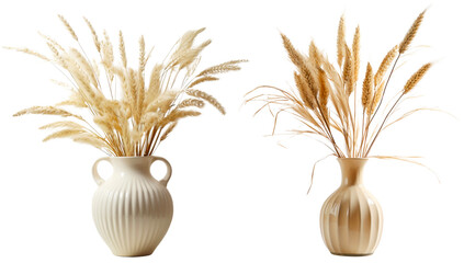 A set of pampas in vases. Isolated on a transparent background