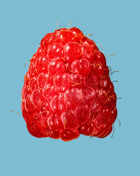 raspberry on a light blue background