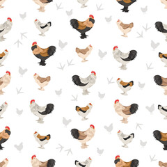 Faverolles Chicken breeds seamless pattern. Poultry and farm animals. Different colors set
