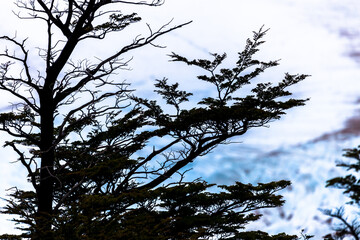 View of Los Glaciares National Park, El Chalten,Patagonia, Argentina.