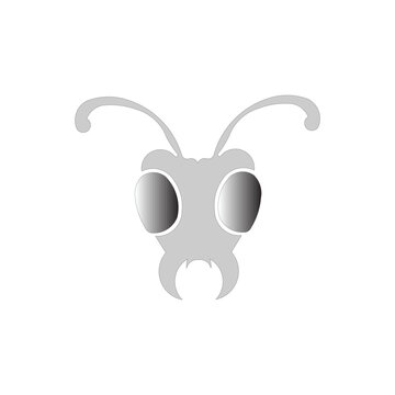 icon vector ant animal illustration design