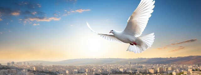 Spirit of god background banner panorama - White dove with wings wide open in the blue sky air with clouds and sunbeams