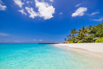 Fototapeta na wymiar Amazing nature beach. Stunning sea coast palm trees sunny moody sky. Summer vacation travel holiday background. Maldives paradise destination. Luxury popular travel summer holiday landscape seascape
