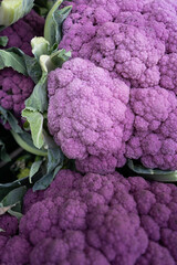 detail of ripe violet cauliflower. Texture of many cauliflowers in the market