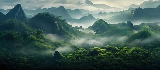 In the morning as the fog cleared a magnificent green landscape emerged revealing towering mountains lush forests and a breathtaking jungle creating the perfect background for an immersive  - Powered by Adobe
