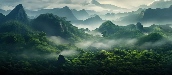 Foto op Plexiglas Mistige ochtendstond In the morning as the fog cleared a magnificent green landscape emerged revealing towering mountains lush forests and a breathtaking jungle creating the perfect background for an immersive 