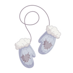 Winter fur, knitted mittens, gloves. Vector graphics.