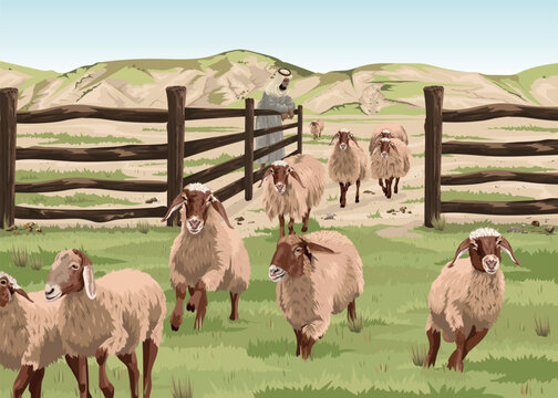 Shepherd opening gate for sheep to run into fresh, green pasture. Biblical illustration depicting Psalm 23:3