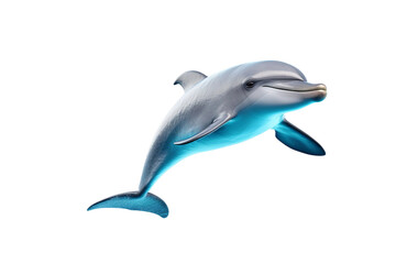 Fototapeta premium Playful Aquatic Mammal Flipper Isolated on Transparent Background