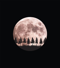 Moon at night vector design